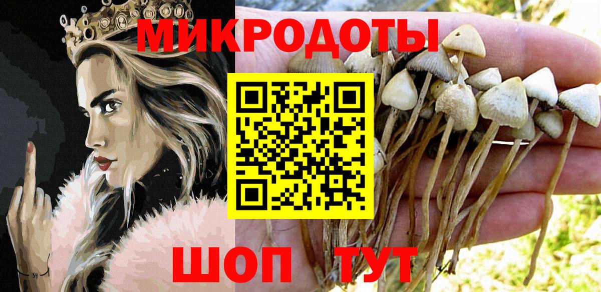 Псилоцибиновые грибы Psilocybine cubensis Курчалой