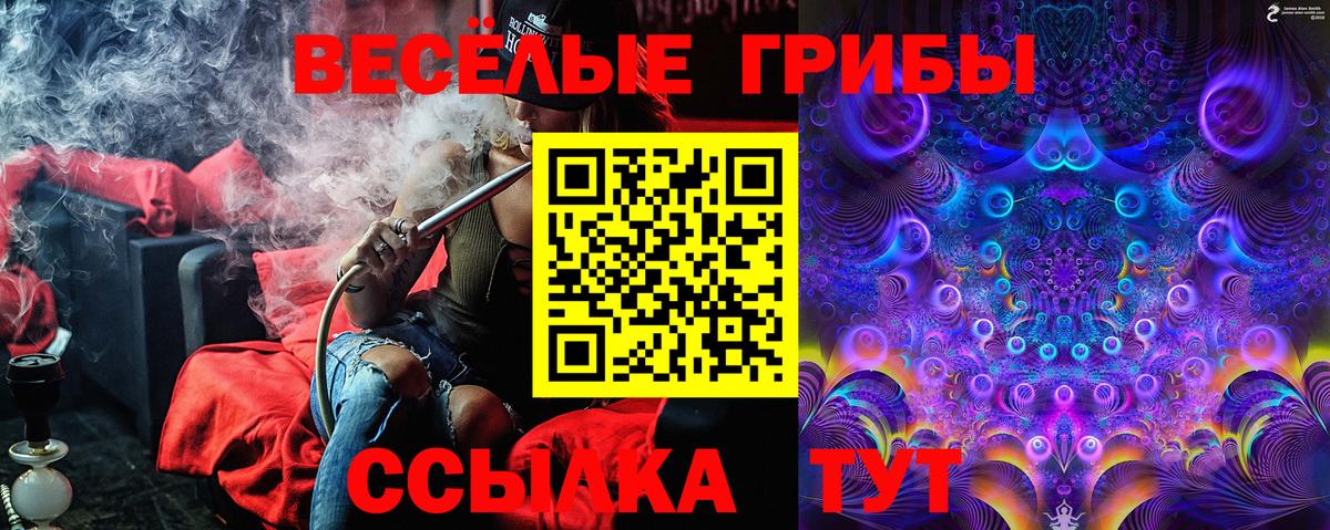 наркошоп  Псилоцибиновые грибы прущие грибы  Курчалой  Вход с VPN  Галлюциногенные грибы мицелий 
