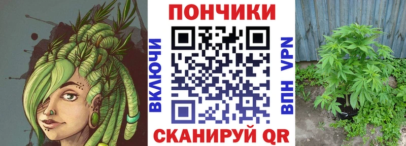 наркота  МЕГА онион  Бошки марихуана сатива  Курчалой 